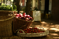 A variety of fruits in a wooven wooden basket.